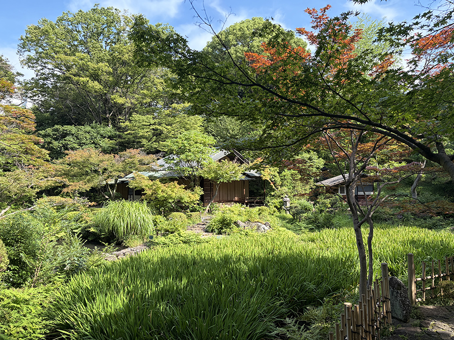庭園｜根津美術館 - Nezu Museum -