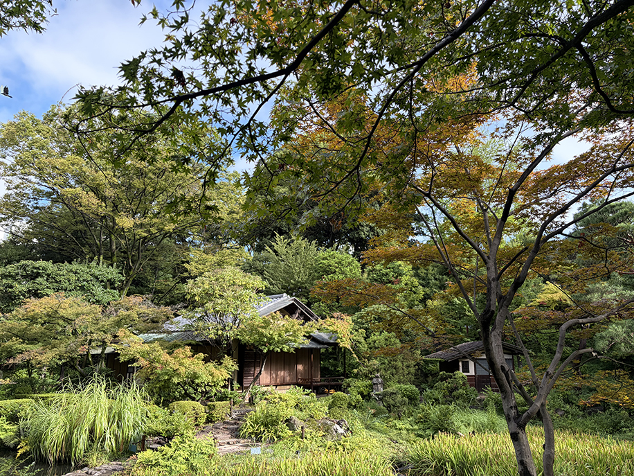 庭園｜根津美術館 - Nezu Museum -