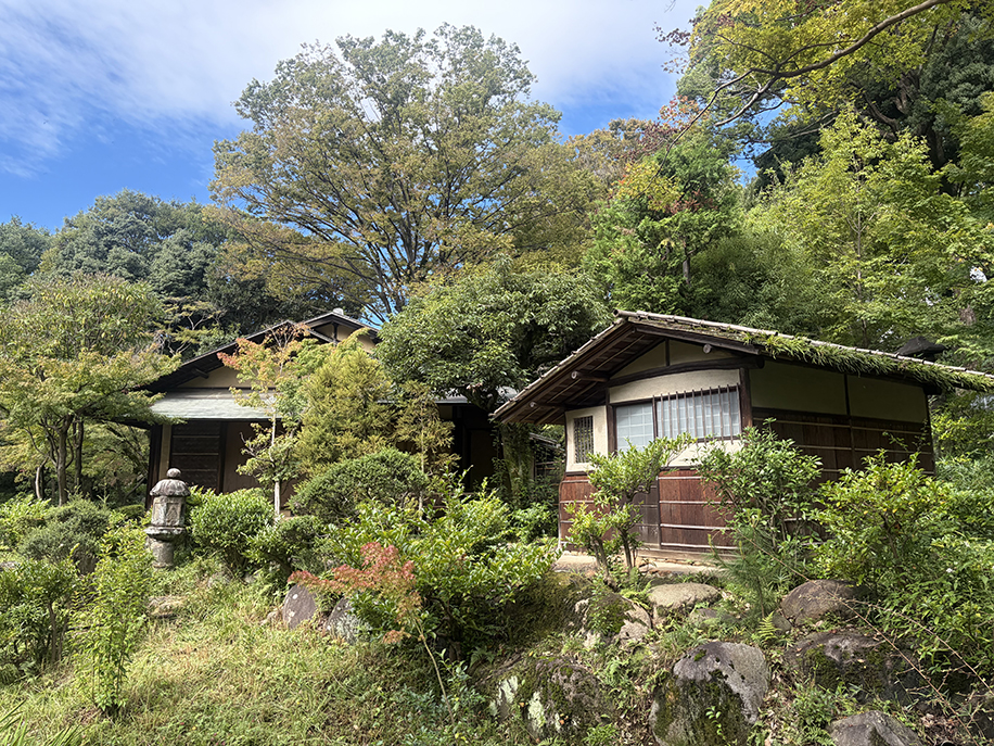 庭園｜根津美術館 - Nezu Museum -