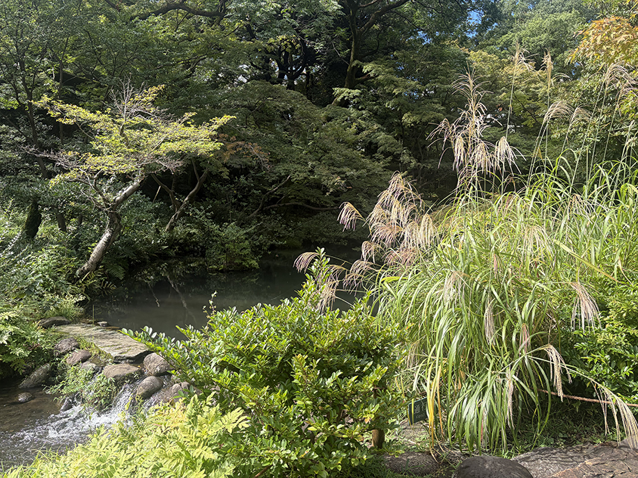 庭園｜根津美術館 - Nezu Museum -