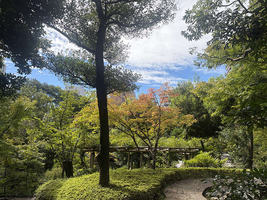 庭園｜根津美術館 - Nezu Museum -